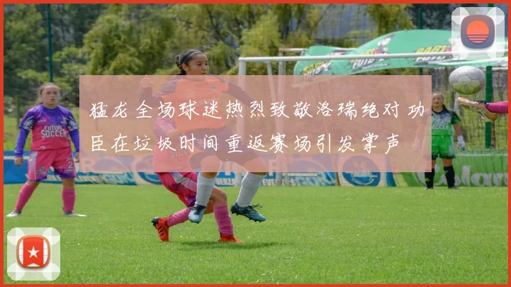 猛龙全场球迷热烈致敬洛瑞绝对功臣在垃圾时间重返赛场引发掌声